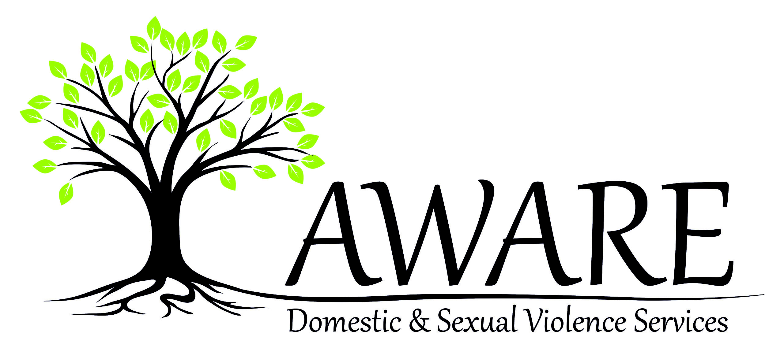 Aware Partner Logo